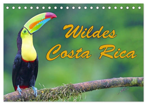 Wildes Costa Rica (Tischkalender 2027 DIN A5 quer), CALVENDO Monatskalender