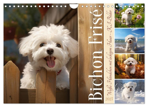 Bichon frisé, weiße Hündchen mit lockigem Haar (Wandkalender 2027 DIN A4 quer), CALVENDO Monatskalender