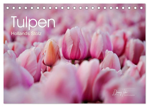 Tulpen - Hollands Stolz (Tischkalender 2027 DIN A5 quer), CALVENDO Monatskalender
