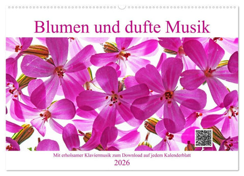 Blumen und dufte Musik (Wandkalender 2026 DIN A2 quer), CALVENDO Monatskalender