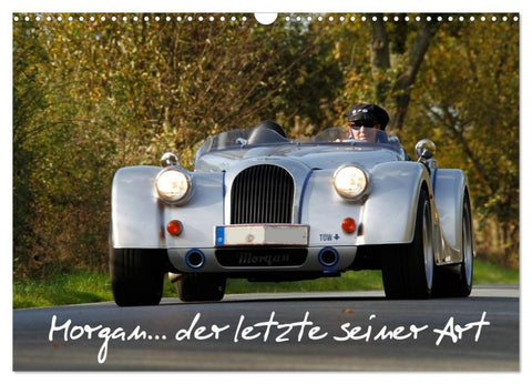 Morgan... der letzte seiner Art (Wandkalender 2027 DIN A3 quer), CALVENDO Monatskalender