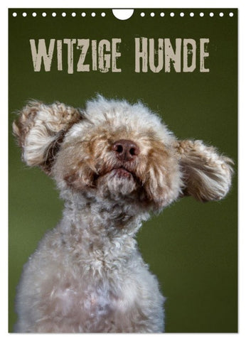 Witzige Hunde (Wandkalender 2027 DIN A4 hoch), CALVENDO Monatskalender