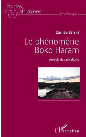 Le phénomène Boko Haram