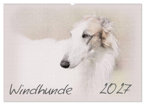Windhunde 2027 (Wandkalender 2027 DIN A2 quer), CALVENDO Monatskalender