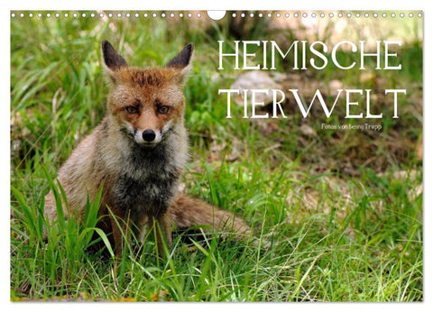 Heimische Tierwelt (Wandkalender 2026 DIN A3 quer), CALVENDO Monatskalender