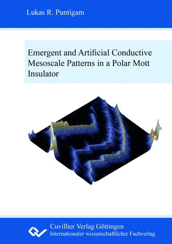 Emergent and artificial conductive mesoscale patterns in a polar Mott insulator