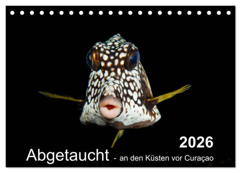 Abgetaucht - an den Küsten vor Curaçao (Tischkalender 2026 DIN A5 quer), CALVENDO Monatskalender