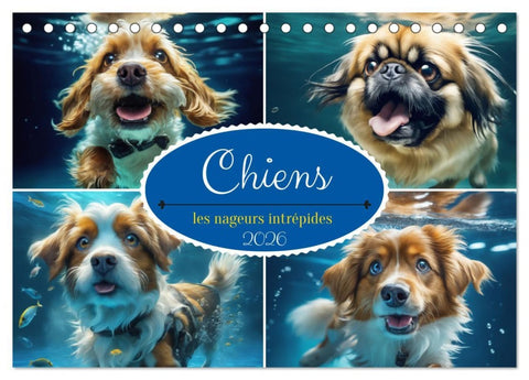 Chiens : les nageurs intrépides (Calendrier de bureau 2026 DIN A5 vertical), CALVENDO calendrier mensuel