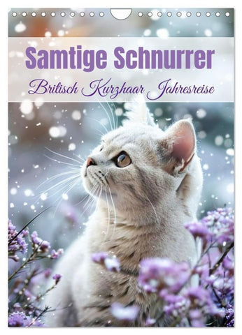 Samtige Schnurrer (Wandkalender 2027 DIN A4 hoch), CALVENDO Monatskalender