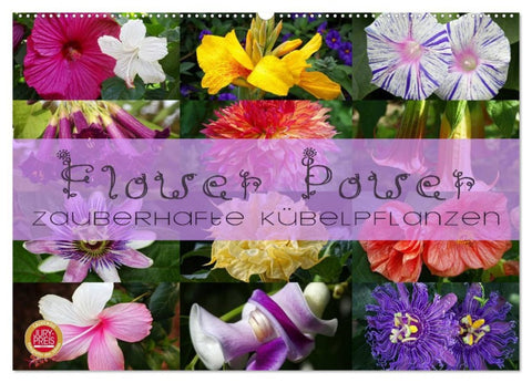 Flower Power - Zauberhafte Kübelpflanzen (Wandkalender 2026 DIN A2 quer), CALVENDO Monatskalender