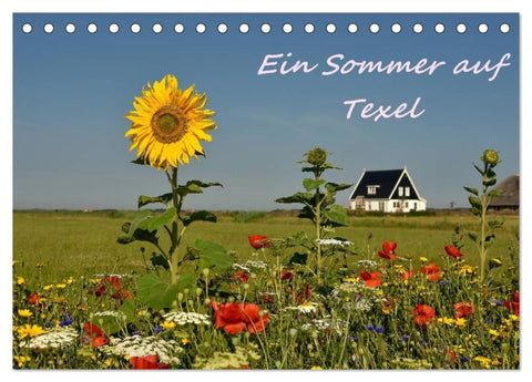Ein Sommer auf Texel (Tischkalender 2027 DIN A5 quer), CALVENDO Monatskalender