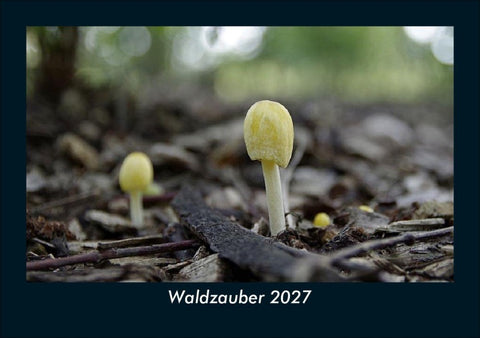 Waldzauber 2027 Fotokalender DIN A5