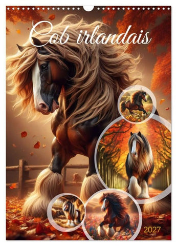 Cob irlandais (Calendrier mural 2027 DIN A3 horizontal), CALVENDO calendrier mensuel