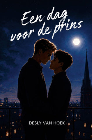 Een dag voor de prins