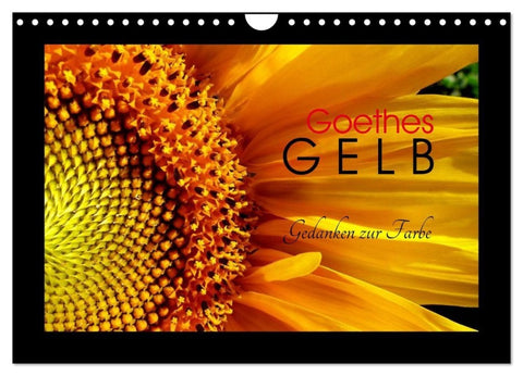 Goethes Gelb Gedanken zur Farbe (Wandkalender 2027 DIN A4 quer), CALVENDO Monatskalender