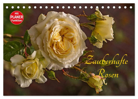 Zauberhafte Rosen (Tischkalender 2026 DIN A5 quer), CALVENDO Monatskalender