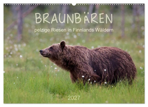 Braunbären - pelzige Riesen in Finnlands Wäldern (Wandkalender 2027 DIN A2 quer), CALVENDO Monatskalender