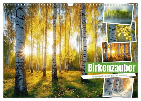 Birkenzauber (Wandkalender 2027 DIN A3 quer), CALVENDO Monatskalender