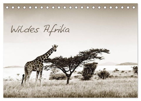 Wildes Afrika (Tischkalender 2027 DIN A5 quer), CALVENDO Monatskalender