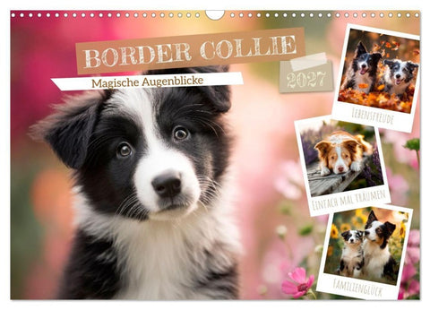 Border Collie - Magische Augenblicke (Wandkalender 2027 DIN A3 quer), CALVENDO Monatskalender