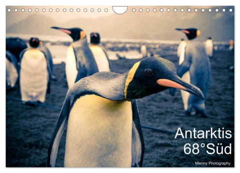 Antarktis 68° Süd (Wandkalender 2027 DIN A4 quer), CALVENDO Monatskalender