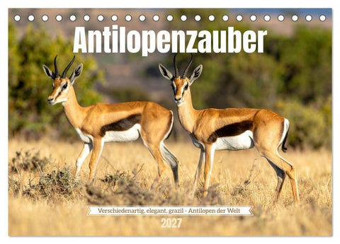 Antilopenzauber (Tischkalender 2027 DIN A5 quer), CALVENDO Monatskalender