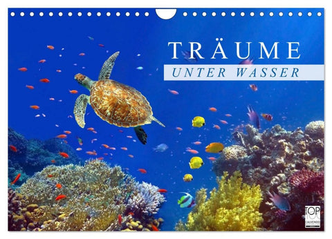 Träume unter Wasser (Wandkalender 2026 DIN A4 quer), CALVENDO Monatskalender