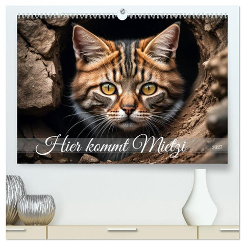 Hier kommt Mietzi (hochwertiger Premium Wandkalender 2027 DIN A2 quer), Kunstdruck in Hochglanz