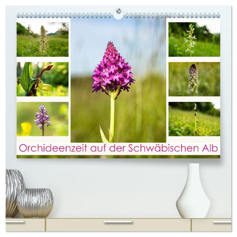 Orchideenzeit auf der Schwäbischen Alb (hochwertiger Premium Wandkalender 2027 DIN A2 quer), Kunstdruck in Hochglanz
