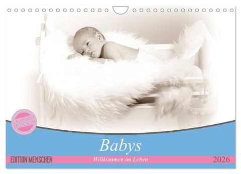 Babys - Willkommen im Leben (Wandkalender 2026 DIN A4 quer), CALVENDO Monatskalender