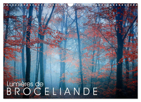 Lumières de Brocéliande (Calendrier mural 2026 DIN A3 vertical), CALVENDO calendrier mensuel