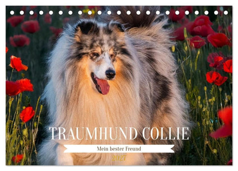 Traumhund Collie - Mein bester Freund (Tischkalender 2027 DIN A5 quer), CALVENDO Monatskalender