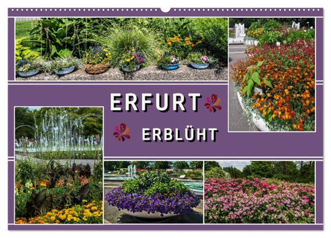 Erfurt erblüht (Wandkalender 2027 DIN A2 quer), CALVENDO Monatskalender