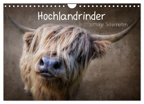 Hochlandrinder - Zottelige Schönheiten (Wandkalender 2027 DIN A4 quer), CALVENDO Monatskalender