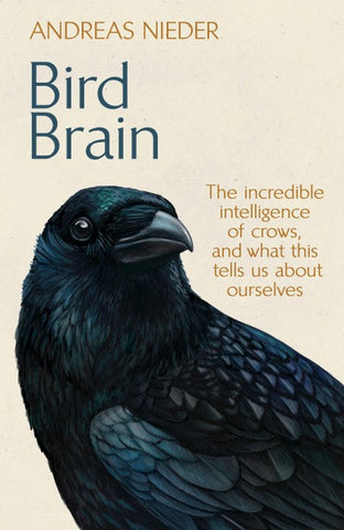 Bird Brain