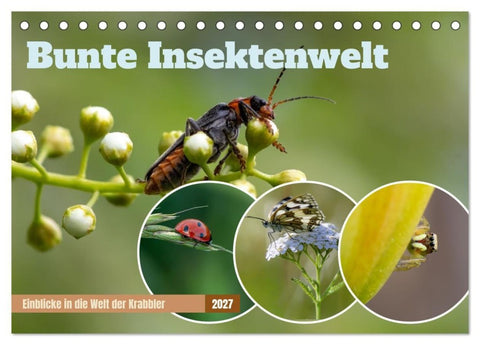 Bunte Insektenwelt (Tischkalender 2027 DIN A5 quer), CALVENDO Monatskalender