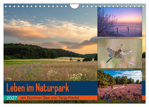 Leben am Naturpark um den Dümmer See (Wandkalender 2027 DIN A4 quer), CALVENDO Monatskalender