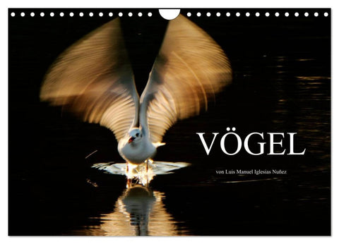 VÖGEL (Wandkalender 2026 DIN A4 quer), CALVENDO Monatskalender