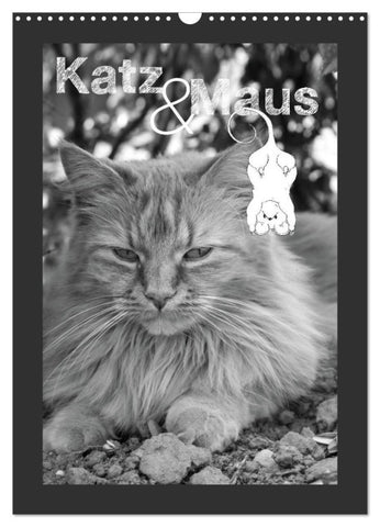 Katz & Maus (Wandkalender 2027 DIN A3 hoch), CALVENDO Monatskalender