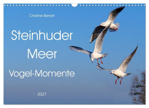 Steinhuder Meer, Vogel-Momente (Wandkalender 2027 DIN A3 quer), CALVENDO Monatskalender