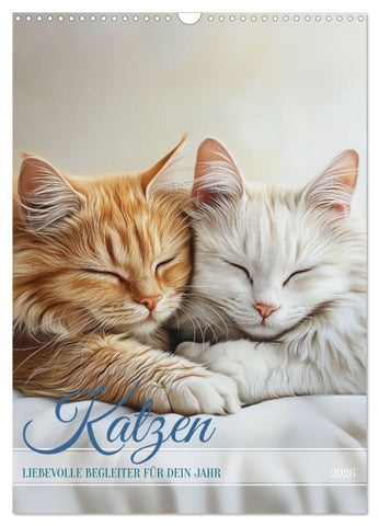Katzen (Wandkalender 2026 DIN A3 hoch), CALVENDO Monatskalender
