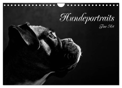 Hundeportraits Fine Art (Wandkalender 2027 DIN A4 quer), CALVENDO Monatskalender