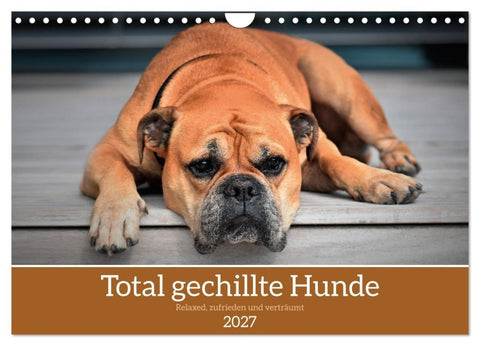 Total gechillte Hunde (Wandkalender 2027 DIN A4 quer), CALVENDO Monatskalender