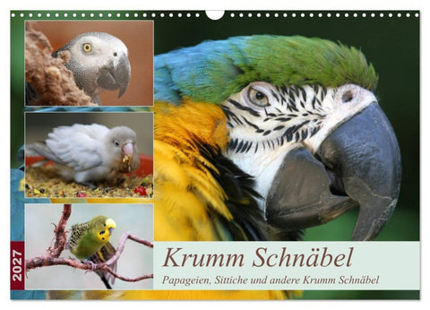 Krumm Schnäbel - Papageien, Sittiche und andere Krumm Schnäbel (Wandkalender 2027 DIN A3 quer), CALVENDO Monatskalender