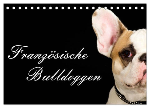 Französische Bulldoggen (Tischkalender 2027 DIN A5 quer), CALVENDO Monatskalender