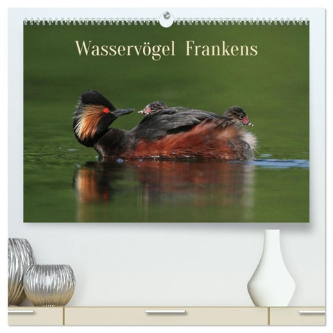 Wasservögel Frankens (hochwertiger Premium Wandkalender 2027 DIN A2 quer), Kunstdruck in Hochglanz
