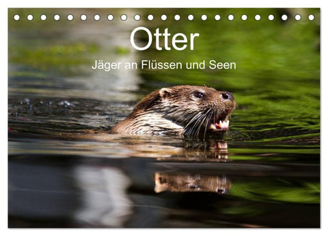 Otter - Jäger an Flüssen und Seen (Tischkalender 2027 DIN A5 quer), CALVENDO Monatskalender