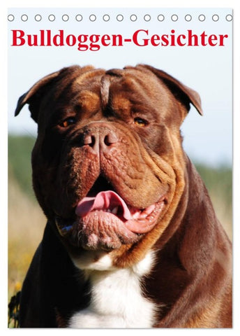 Bulldoggen-Gesichter (Tischkalender 2026 DIN A5 hoch), CALVENDO Monatskalender