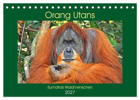 Orang Utans Sumatras Waldmenschen (Tischkalender 2027 DIN A5 quer), CALVENDO Monatskalender