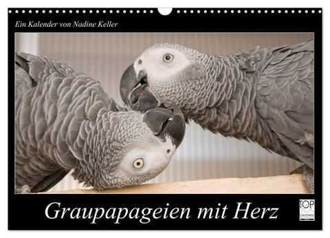 Graupapageien mit Herz (Wandkalender 2026 DIN A3 quer), CALVENDO Monatskalender